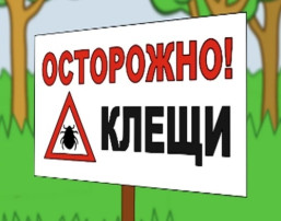 Осторожно - клещи! Осторожно - клещи!.